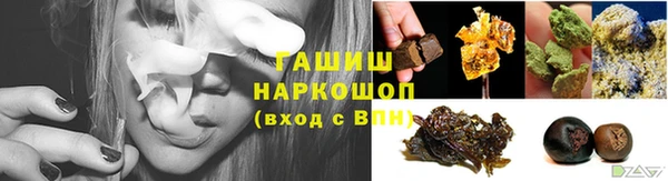 гашик Алексин