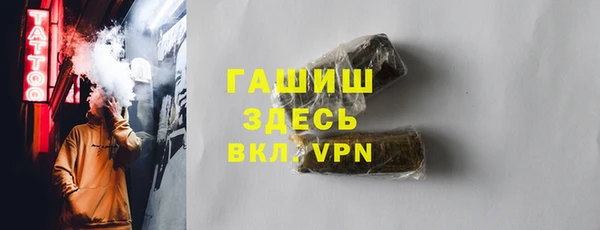 гашик Алексин