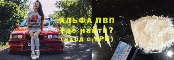 гашик Алексин