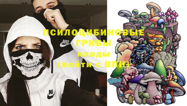 МДПВ Алексеевка