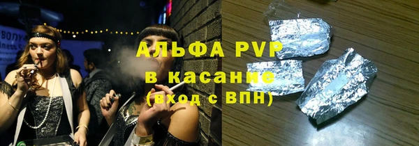 гашик Алексин