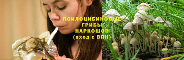 МДПВ Алексеевка